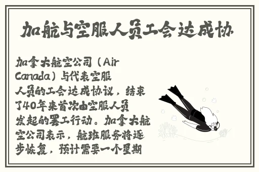 网站app制作软件